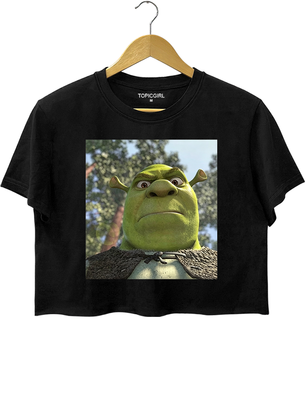 Shrek 90s Meme Crop Top