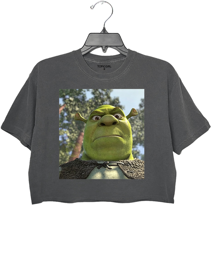 Shrek 90s Meme Crop Top