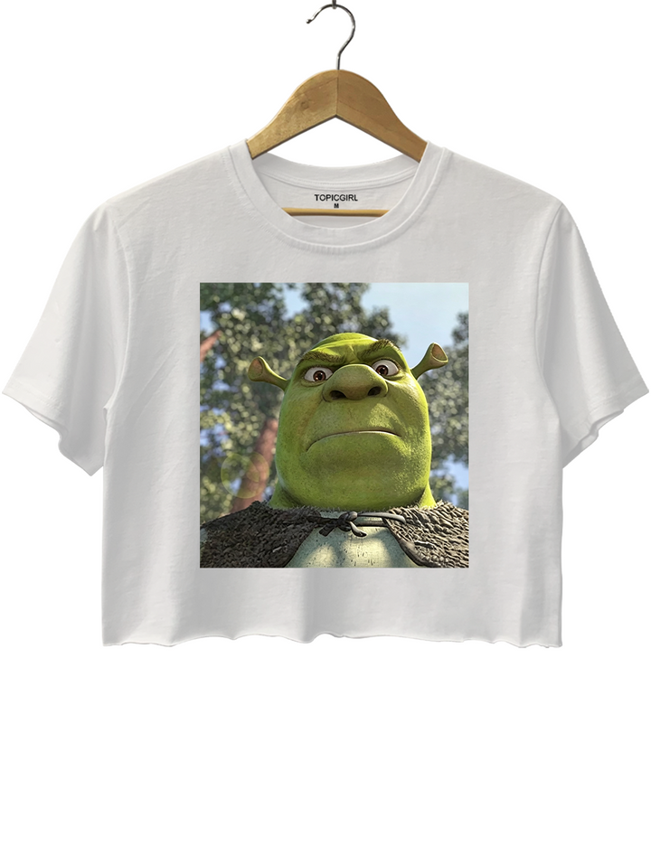 Shrek 90s Meme Crop Top