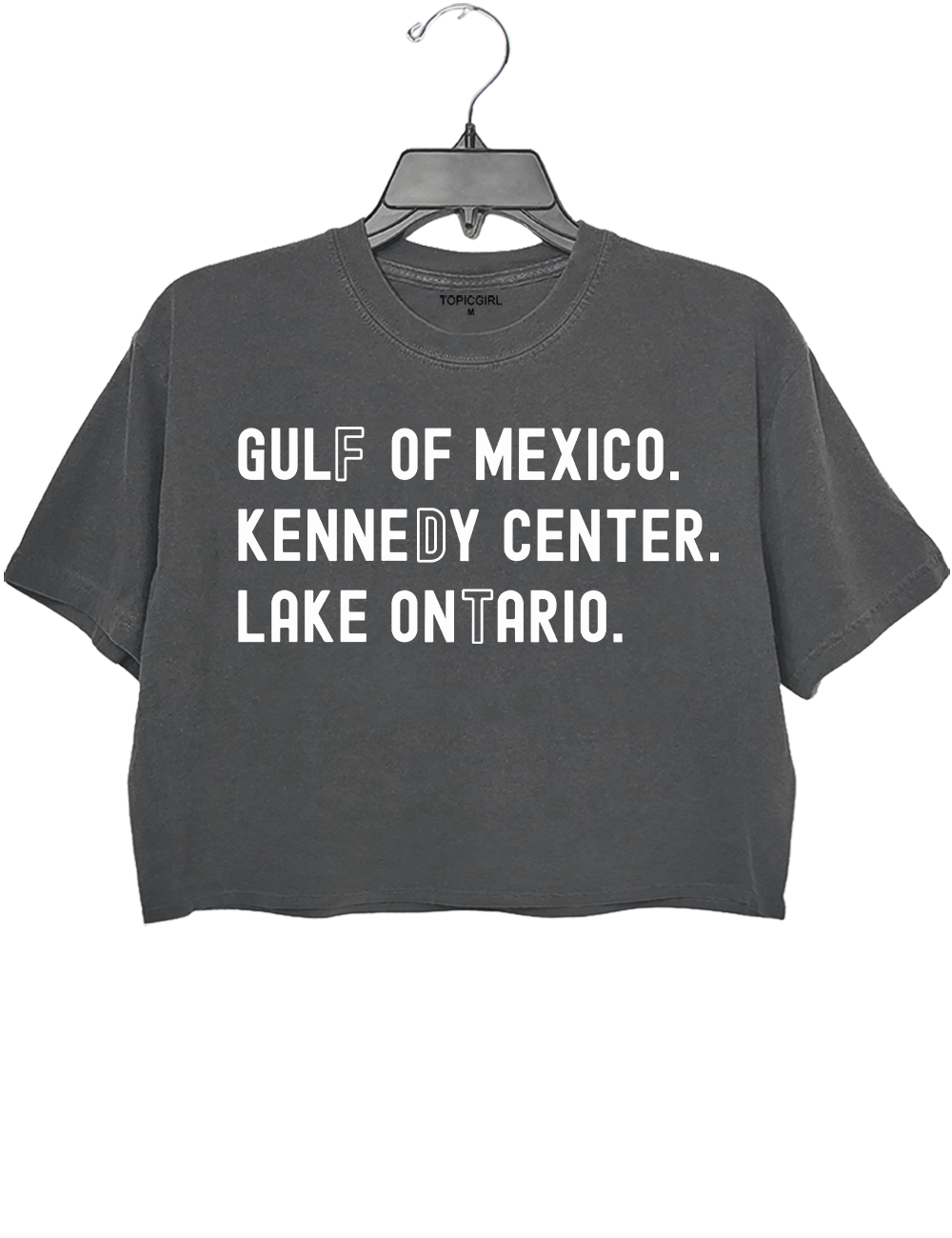 Lake Ontario Kennedy Center Crop Top