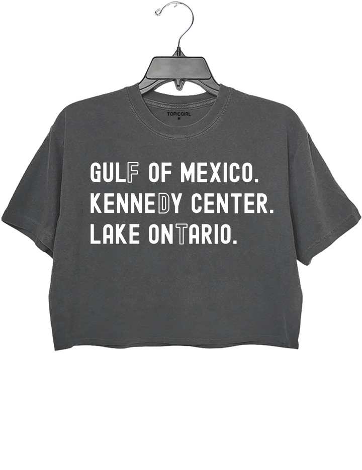 Lake Ontario Kennedy Center Crop Top