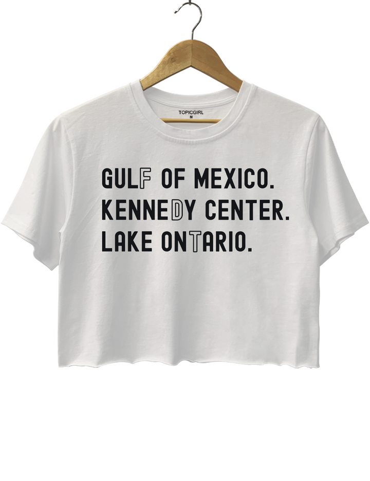 Lake Ontario Kennedy Center Crop Top