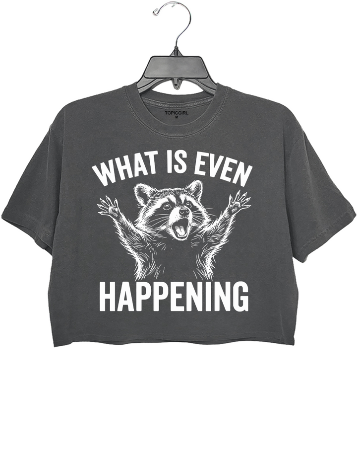 What Is Even Happening Raccoon Crop Top