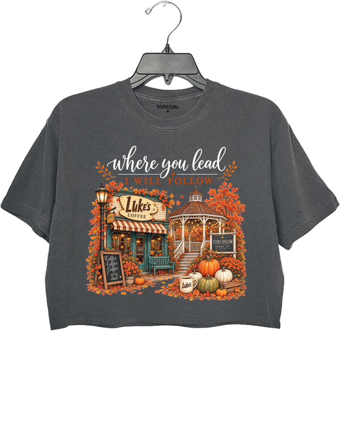Where You Lead I Will Follow Stars Hollow Autumn Crop Top - Gray