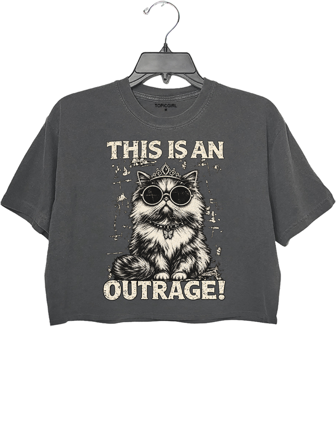 This Is an Outrage Princess Donut Vintage Cat Crop Top - Gray