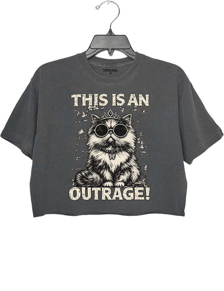 This Is an Outrage Princess Donut Vintage Cat Crop Top - Gray