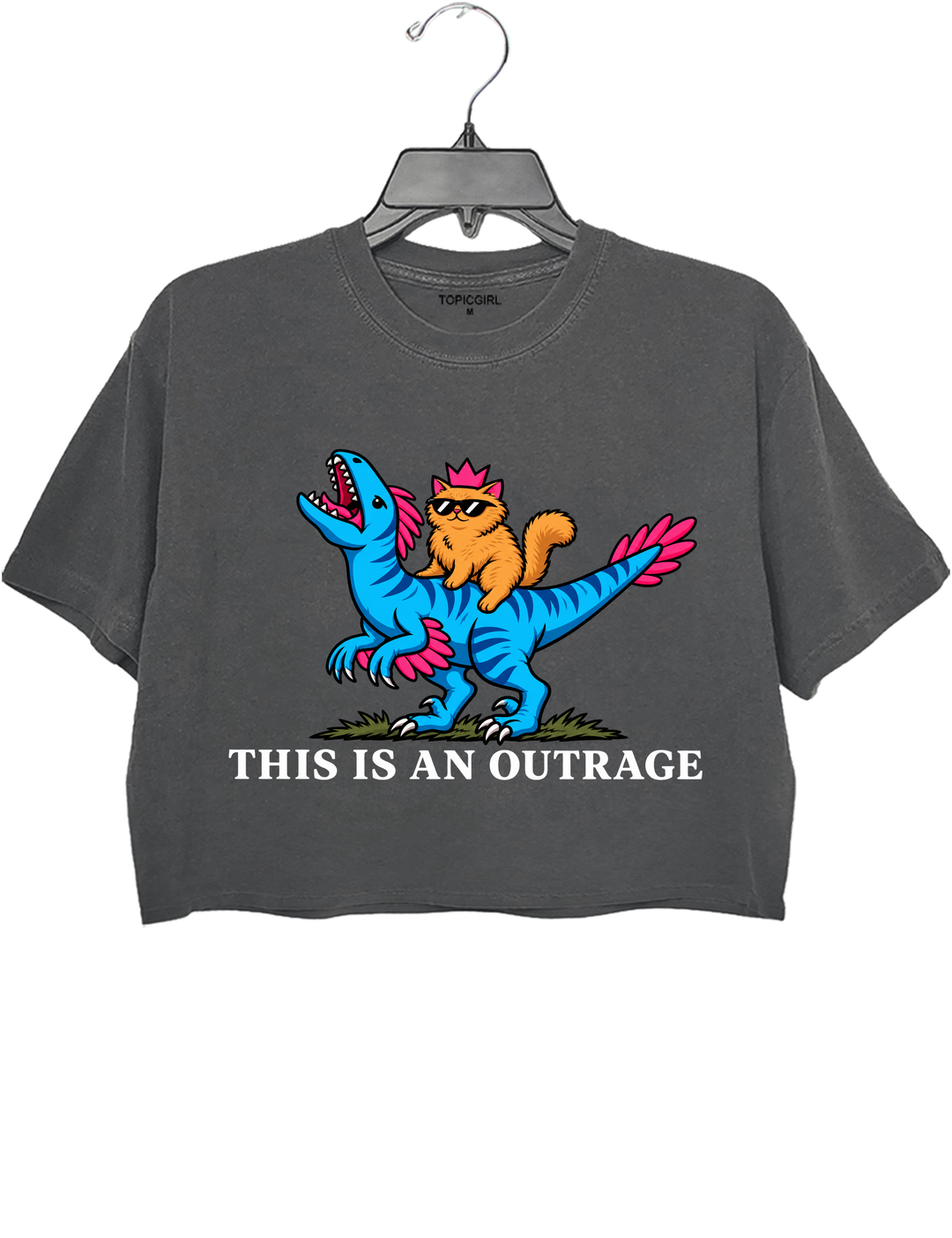 This Is an Outrage Princess Donut Riding Mongo Crop Top - Gray