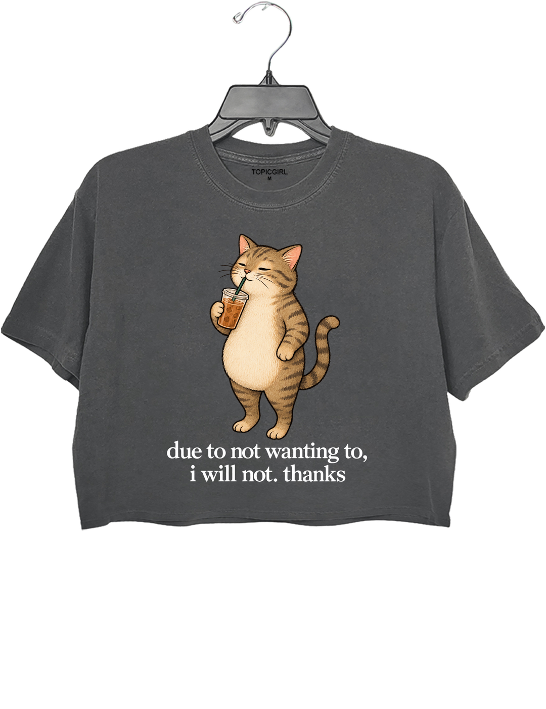 Due to Not Wanting To I Will Not Thanks Iced Coffee Cat Crop Top - Gray