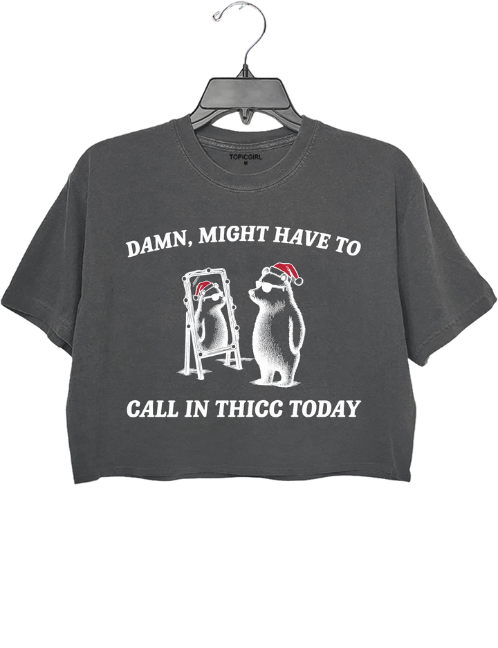 Might Have To Call In Thicc This Christmas Crop Top - Gray
